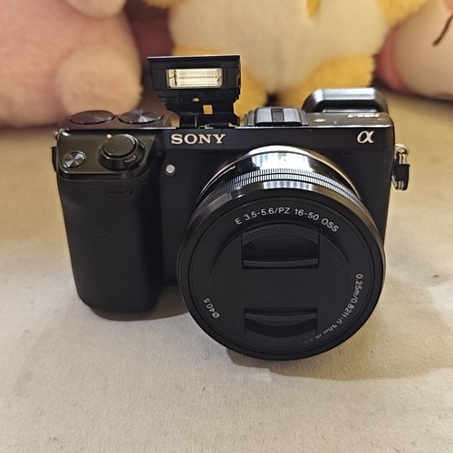 Sony alpha nex 24mp - nex-7,