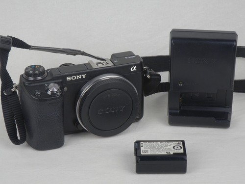 Sony nex 1mp mirrorless - sony, nex-6